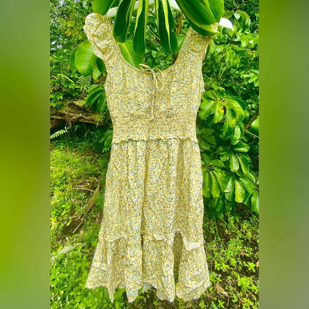 Floral Dainty Coquette Wild Fable Dress